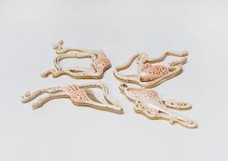 图片包含 桌子, 白色, 男人, 镜子描述已自动生成 图片包含 桌子, 白色, 男人, 镜子描述已自动生成
